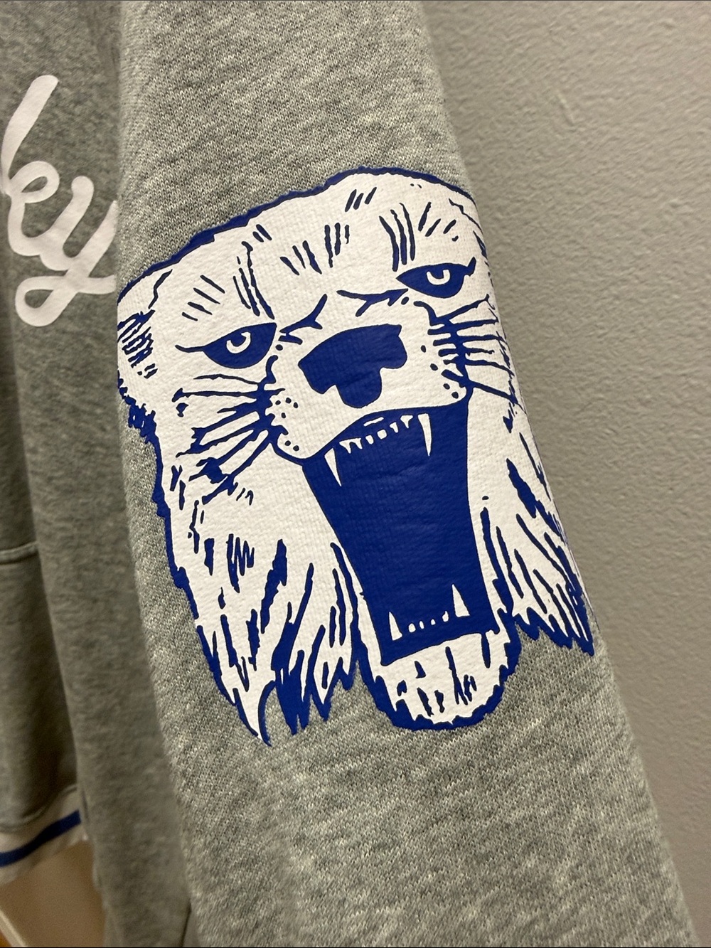Nike Grey Crewneck Sweatshirt with Blue Accents - Picture 6 of 7